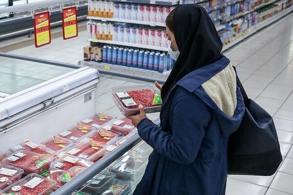 پیش بینی تداوم پرداخت یارانه ها تا ۱۰ سال آینده
