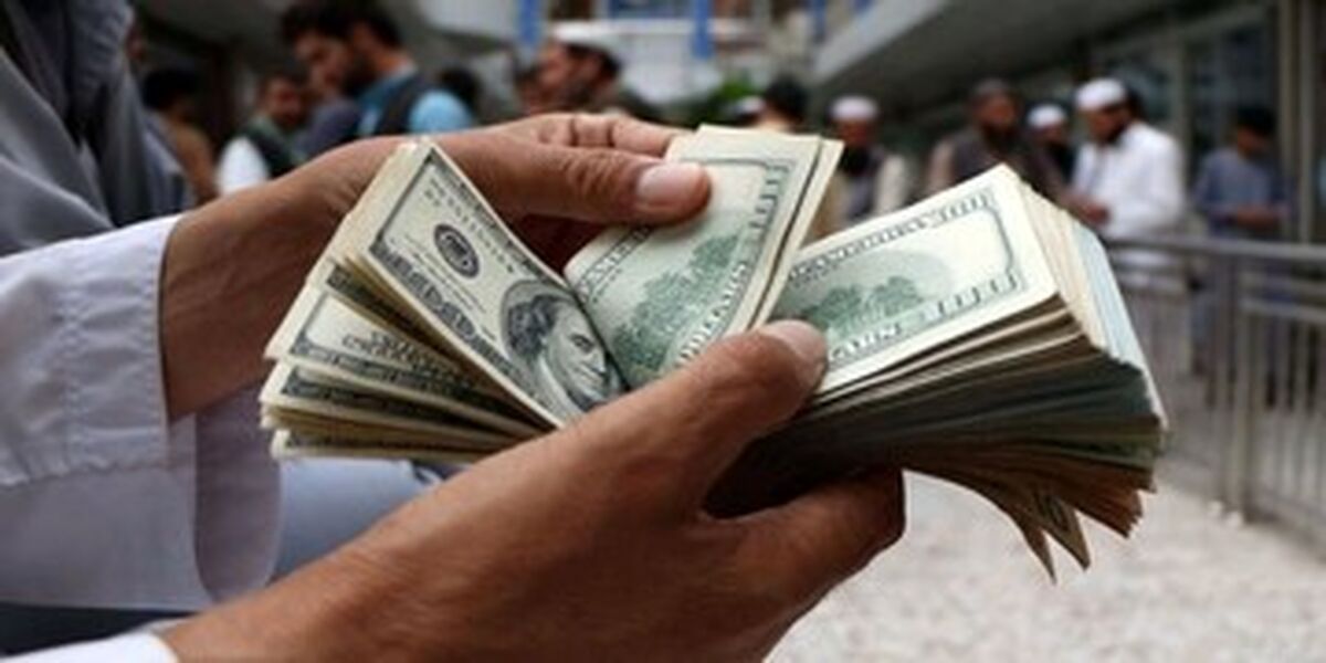 ارزیابی یک کارشناس از بازار ارز پساماشه؛ بازار در این صورت آرام خواهد شد
