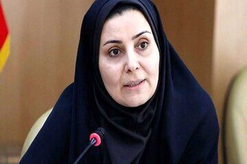 صادق: عوارض وضع شده بر رانندگان ایرانی در ترکیه لغو شد

