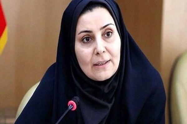 صادق: عوارض وضع شده بر رانندگان ایرانی در ترکیه لغو شد

