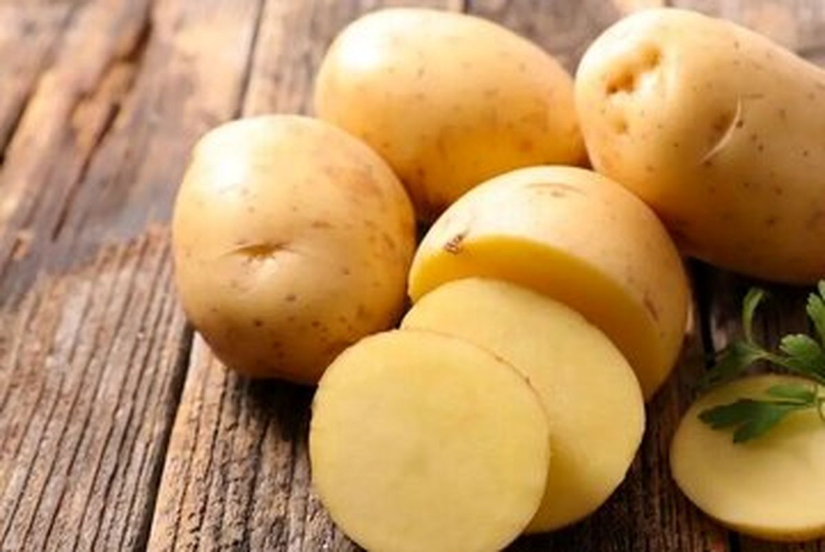 قیمت سیب زمینی؛ فقط ۷۵ هزار تومان!/ وزیر کشاورزی دقیقا مشغول چه کاری است؟
