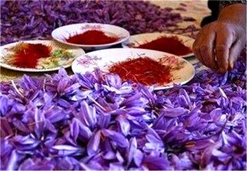 یک کیلو زعفران چند شد؟