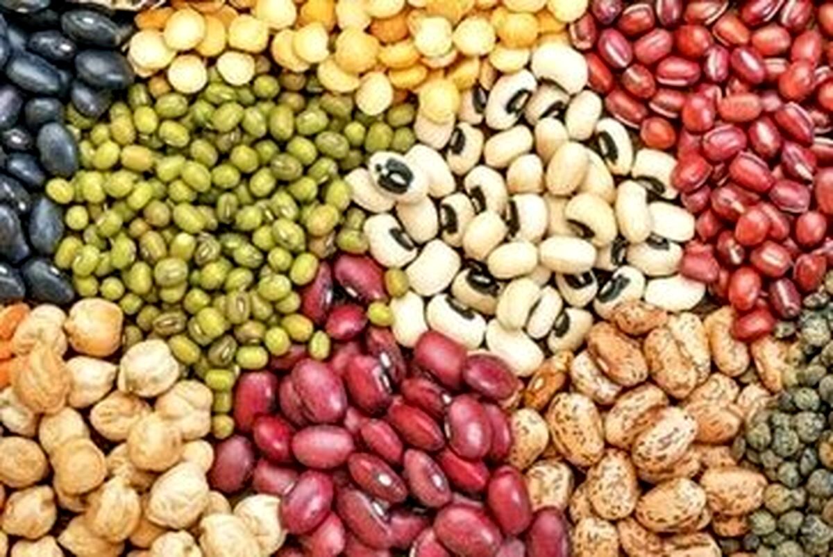 دلیل افزایش قیمت حبوبات در روزهای اخیر/ مصرف سرانه کشور کمتر از میانگین جهانی
