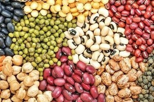دلیل افزایش قیمت حبوبات در روزهای اخیر/ مصرف سرانه کشور کمتر از میانگین جهانی
