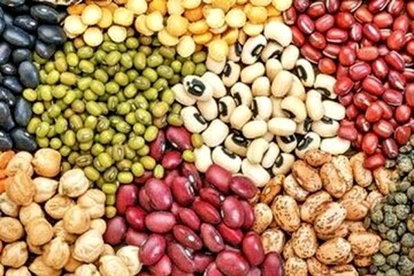 دلیل افزایش قیمت حبوبات در روزهای اخیر/ مصرف سرانه کشور کمتر از میانگین جهانی
