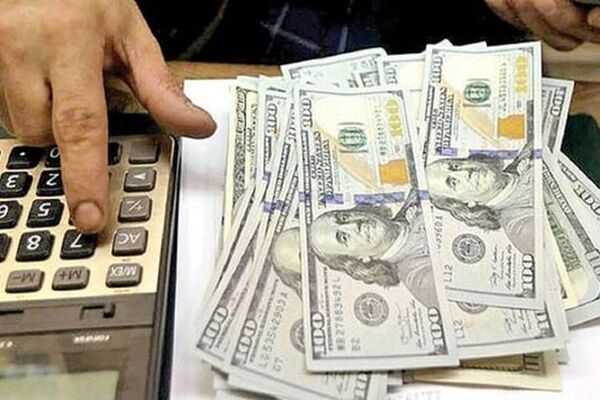 نمی‌توان به هر نفر ده میلیون تومان یارانه پرداخت کرد/ ویدئو

