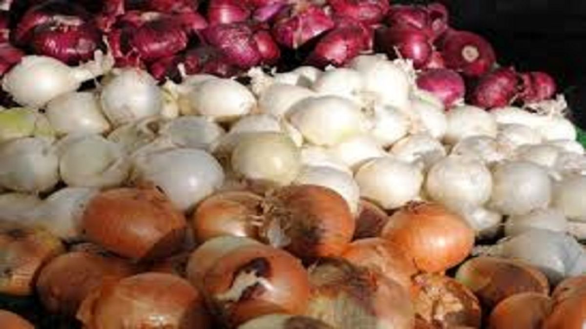 صادرات پیاز و سیب زمینی متوقف است