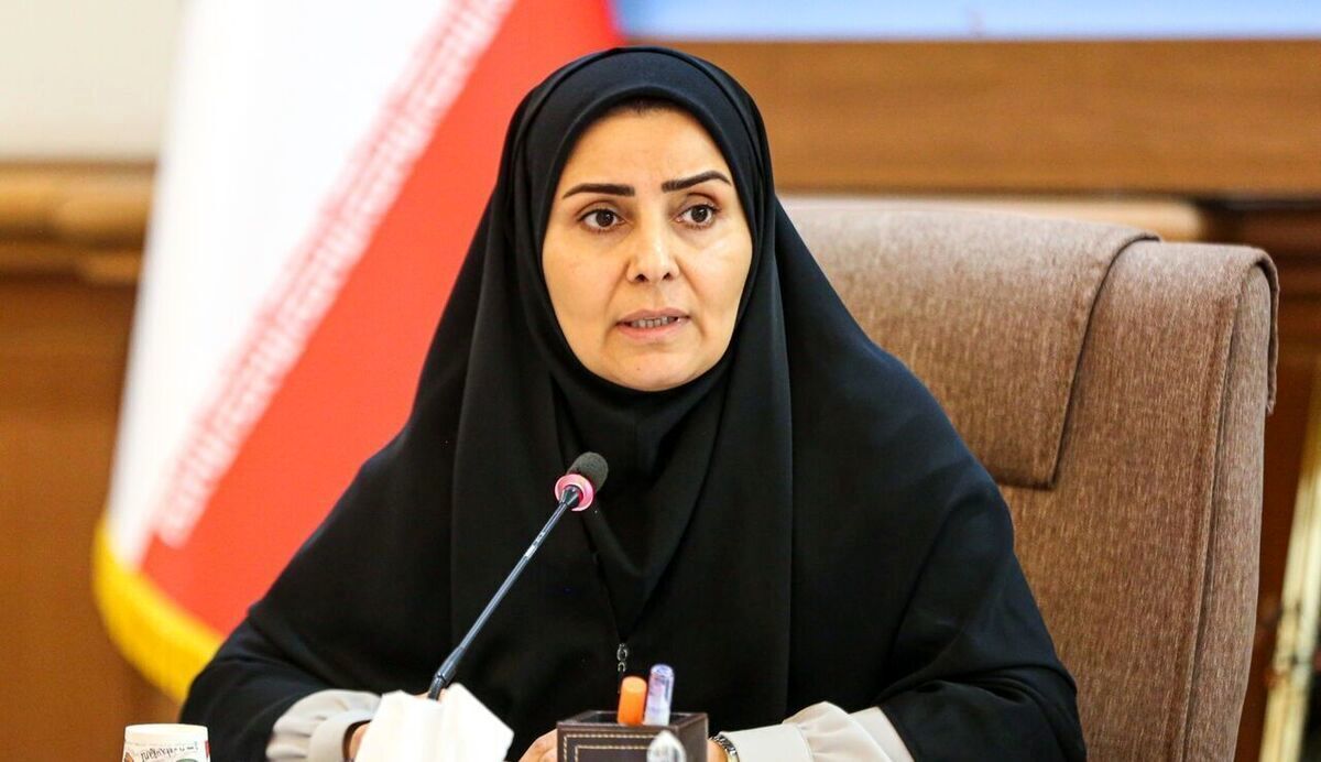 رایزنی ها برای برقراری پرواز پاریس/ ویدئو
