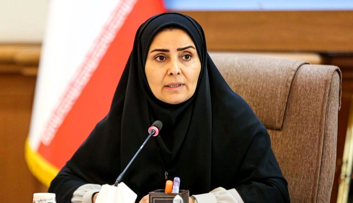 رایزنی ها برای برقراری پرواز پاریس/ ویدئو
