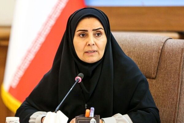 رایزنی ها برای برقراری پرواز پاریس/ ویدئو
