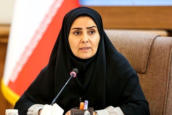 رایزنی ها برای برقراری پرواز پاریس/ ویدئو
