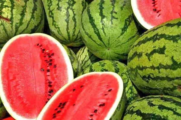 ذوق یک هندوانه‌ فروش در دبی از کیفیت هندوانه‌ های صادراتی ایران