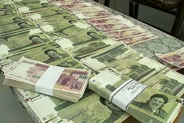 رشد نقدینگی عامل شلختگی بازار ارز است / بانک مرکزی تبعات ارزی تحولات سیاسی را مدیریت کند
