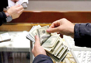 اختلاف بانک مرکزی و وزارت اقتصاد، عامل به هم ریختگی بازار ارز است؟

