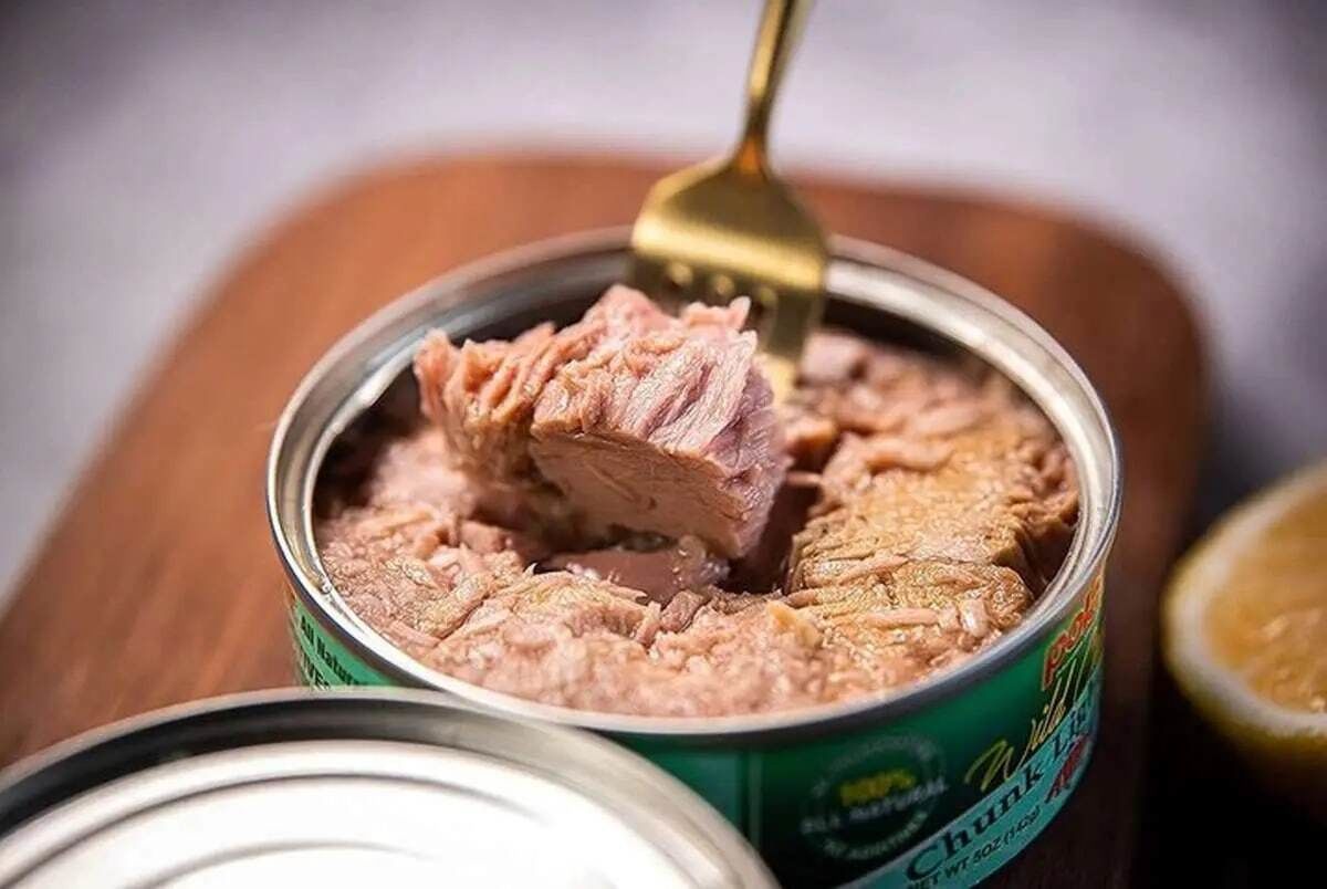 کنسرو ماهی گران می‌شود
