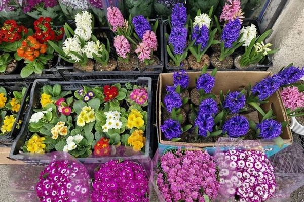 چند نکته ایمنی و خودمراقبتی برای خانه تکانی