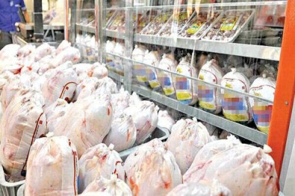 قیمت جدید مرغ امروز ۶ خرداد ۱۴۰۵/ فیله مرغ ۸۵۰ هزار تومان شد+ جدول