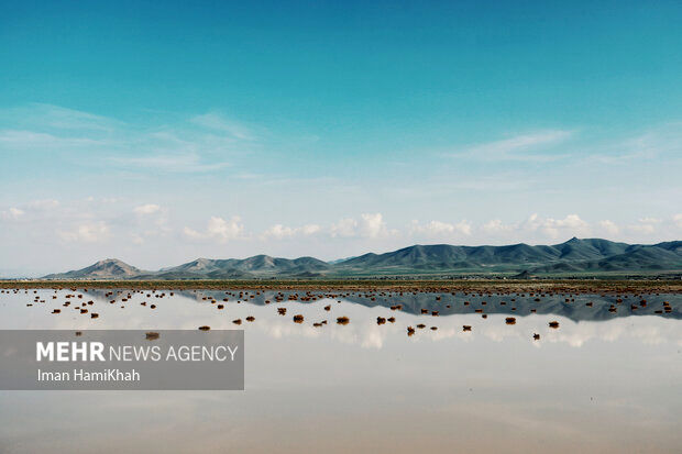 آبگیری تالاب «آق گل» بعد از سه سال خشکسالی