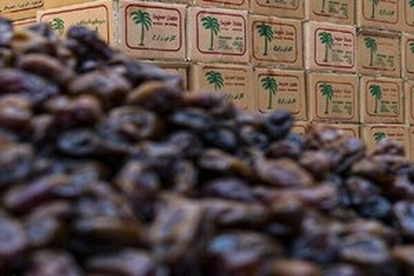 قیمت نجومی خرما در ماه رمضان؛ هر کیلو خرما چند؟