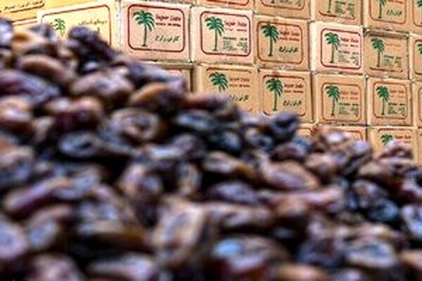 قیمت نجومی خرما در ماه رمضان؛ هر کیلو خرما چند؟