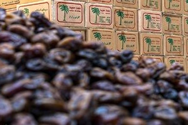 قیمت نجومی خرما در ماه رمضان؛ هر کیلو خرما چند؟