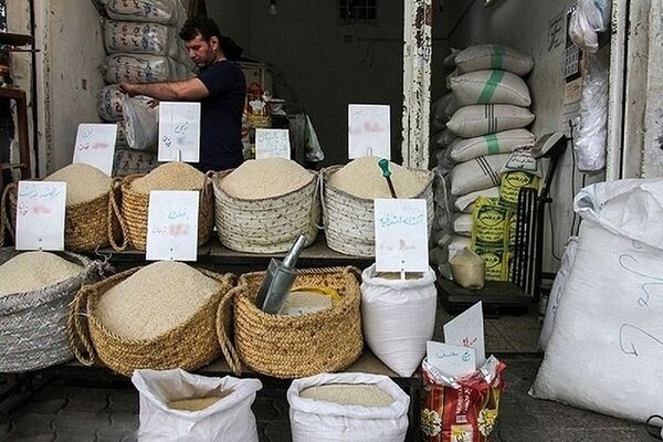 قیمت برنج ۸۵ درصد گران شد
