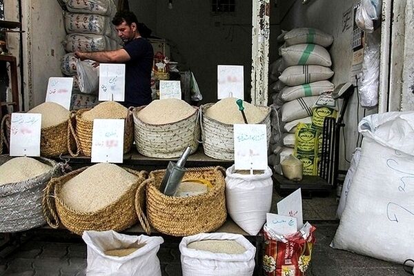 قیمت برنج ۸۵ درصد گران شد