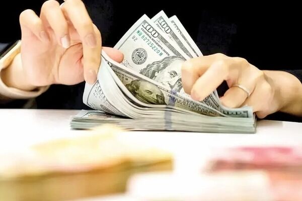 بازار ارز در سال ۱۴۰۳ چه مسیری را طی کرد؟