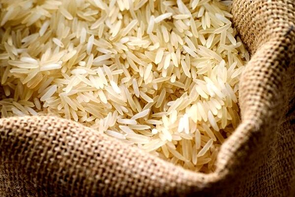 افزایش ۳۰ تا ۴۰ درصدی قیمت برنج
