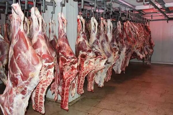 قیمت گوشت قرمز امروز 9 خرداد 1405 + جدول