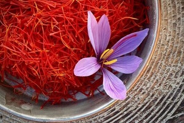 زعفران گران شد