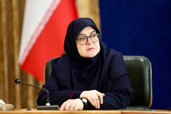 مهاجرانی: نگاه دولت به اینترنت دسترسی برابر برای همه شهروندان است