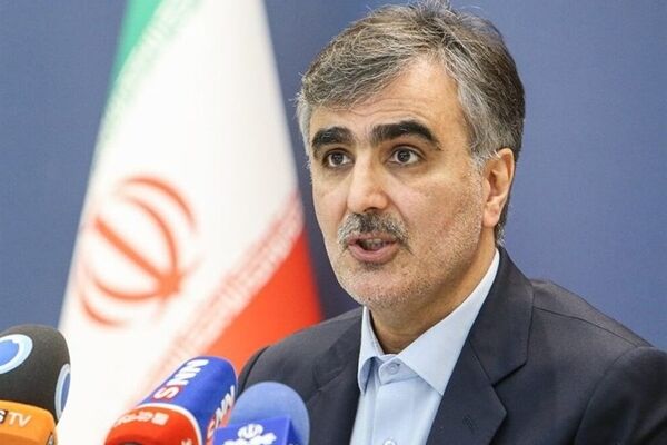 ارز مفت به کسی نمی‌دهیم/ تثبیت ارز سیاست قطعی بانک مرکزی است