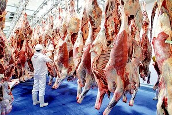 قیمت جدید گوشت قرمز امروز ۲۹ مردادماه اعلام شد/ گوشت گوسفندی ارزان شد