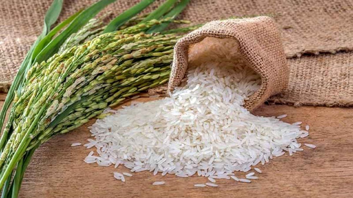 قیمت پایه برنج ۹۰ هزار تومان پیش بینی شده