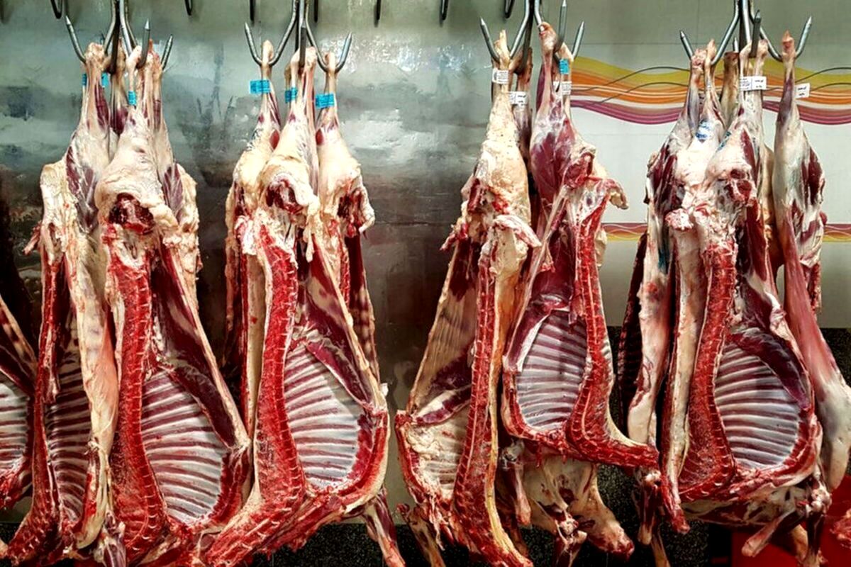 قیمت جدید گوشت قرمز