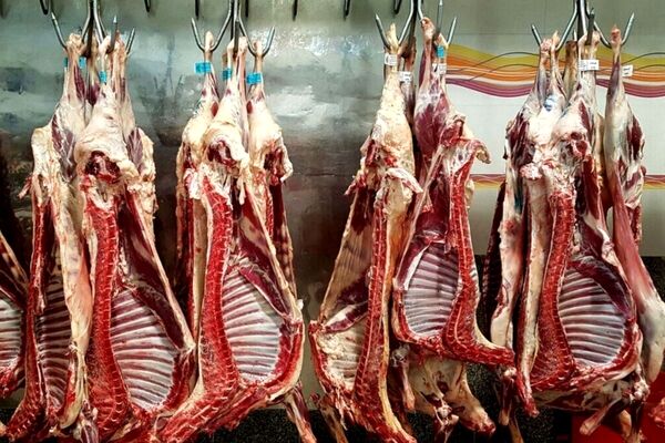 قیمت جدید گوشت قرمز