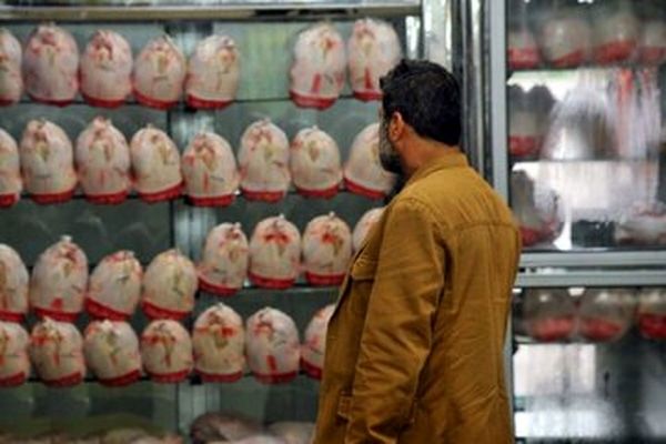 قطع برق، مرغ را گران کرد