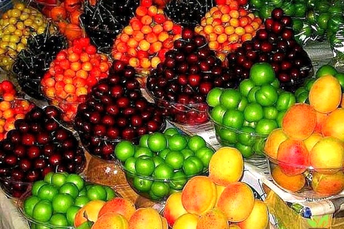 قیمت میوه های تابستانی نجومی شد