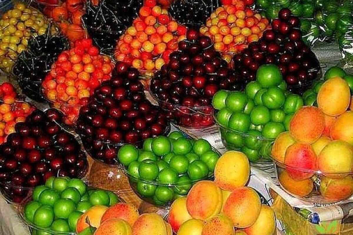 قیمت میوه در یک سال دو برابر شد