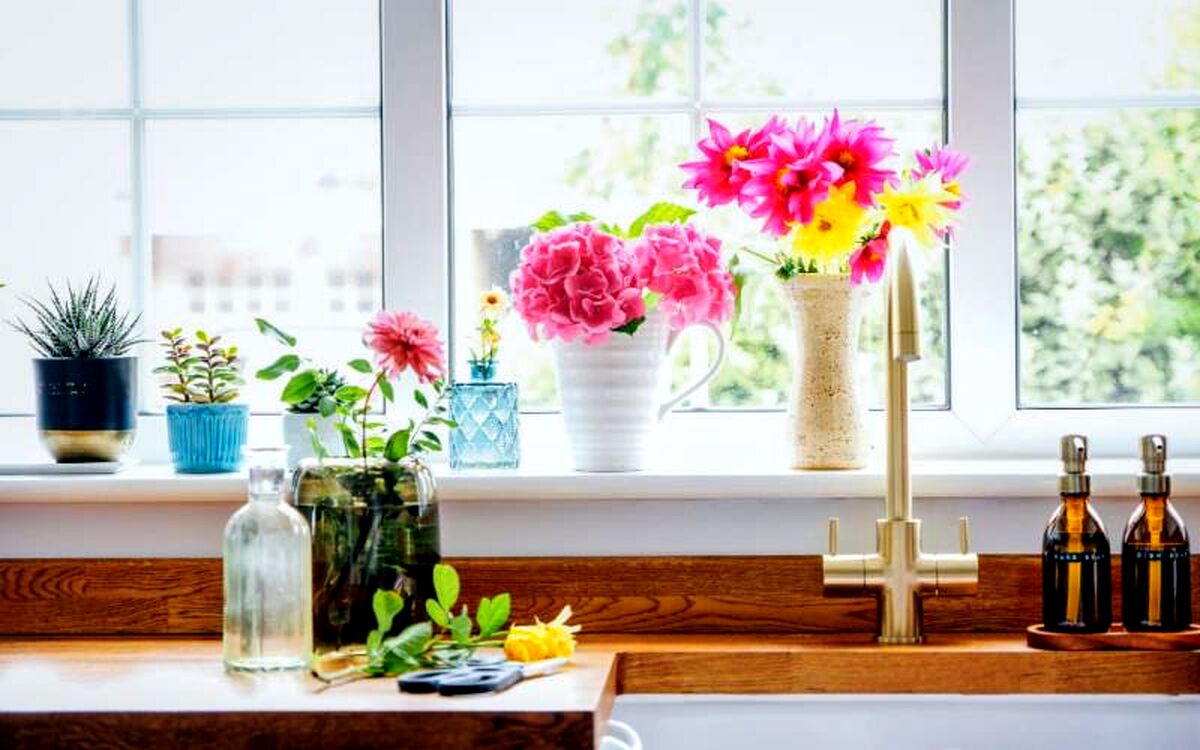 بهترین گل‌های آپارتمانی برای چیدمان زیبا در منزل کدام‌اند؟