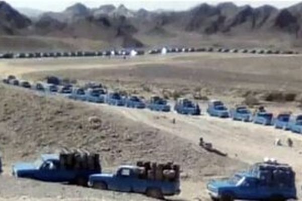 صادرات حبوبات ممنوع شد