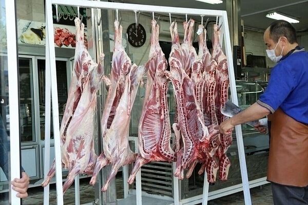 قیمت دام زنده منطقی می‌شود؟