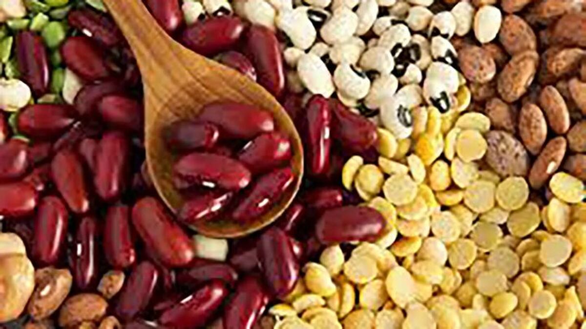 سقوط آزاد قیمت حبوبات در بازار/ قیمت لوبیاچیتی نصف شد