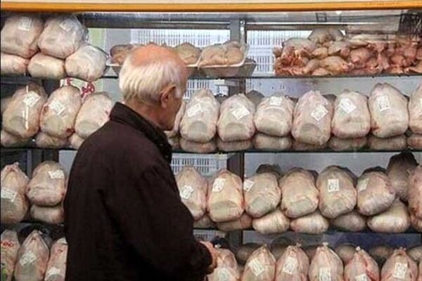 کاهش قیمت مرغ طی روزهای گذشته
