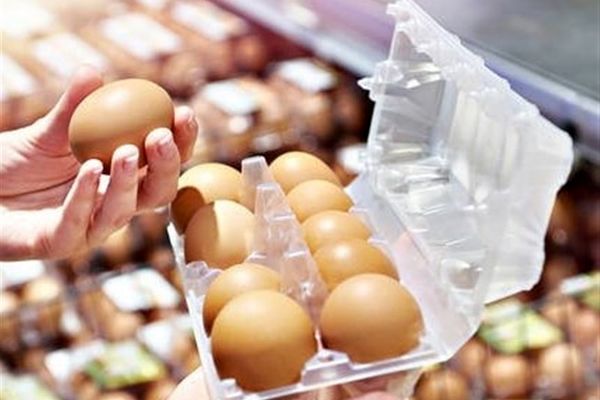 هر شانه تخم مرغ چند؟