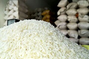 بحران بازار برنج از کجا نشأت می‌گیرد؟