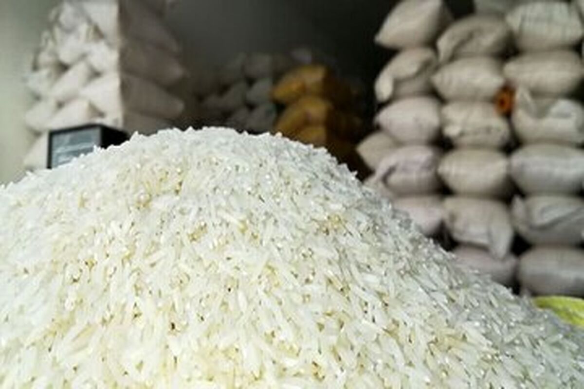 بحران بازار برنج از کجا نشأت می‌گیرد؟