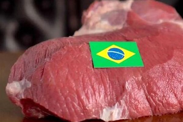 اختلال در واردات گوشت قرمز از برزیل
