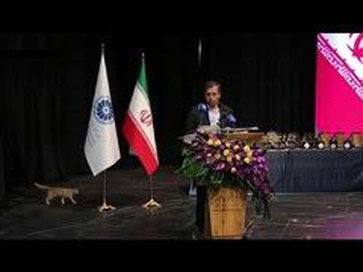 ورود یک گربه به سالن همایش هنگام سخنرانی وزیر اقتصاد/ ویدئو
